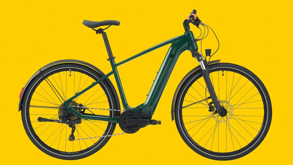 Ce VTC électrique cartonne chez Decathlon… et il vient de perdre 200 €